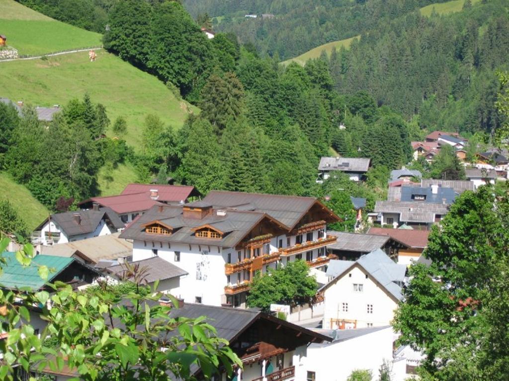 Hotel Alpenrose Muehlbach Am Hochkoenig Ngoại thất bức ảnh